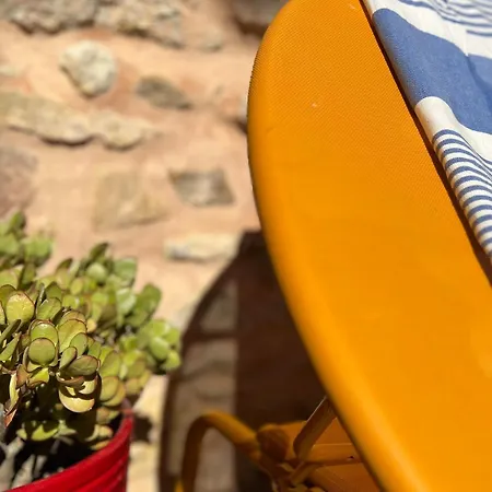 L'authentique, Maison De Village Avec Piscine 12 Personnes * Quarante